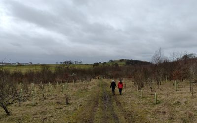 PATT Scotland Completes First Tree Planting Project in Fife
