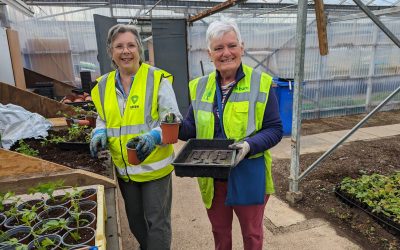 Propagating Skills with Horticulture Qualifications at PATT Foundation